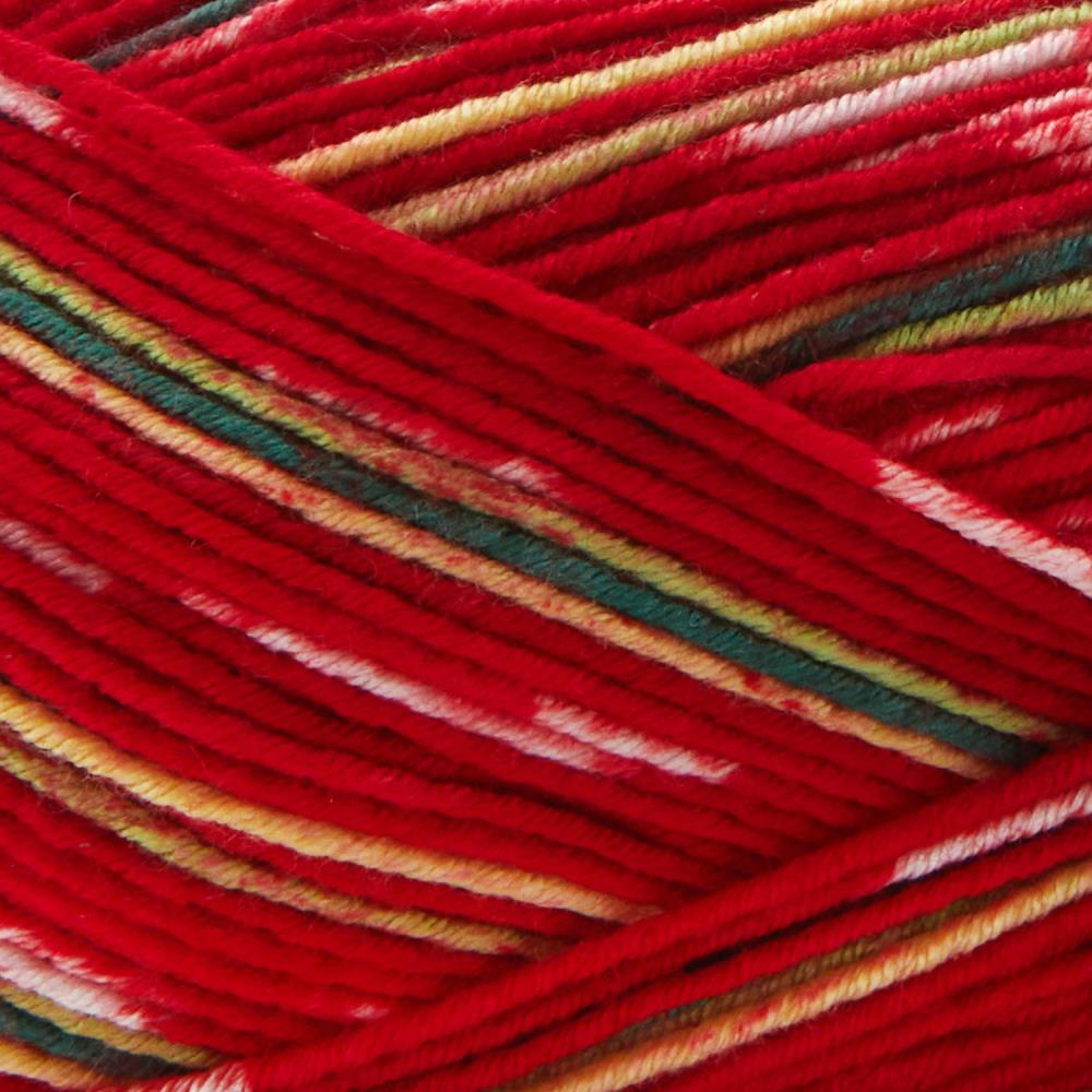 Premier Fruits Sock Yarn