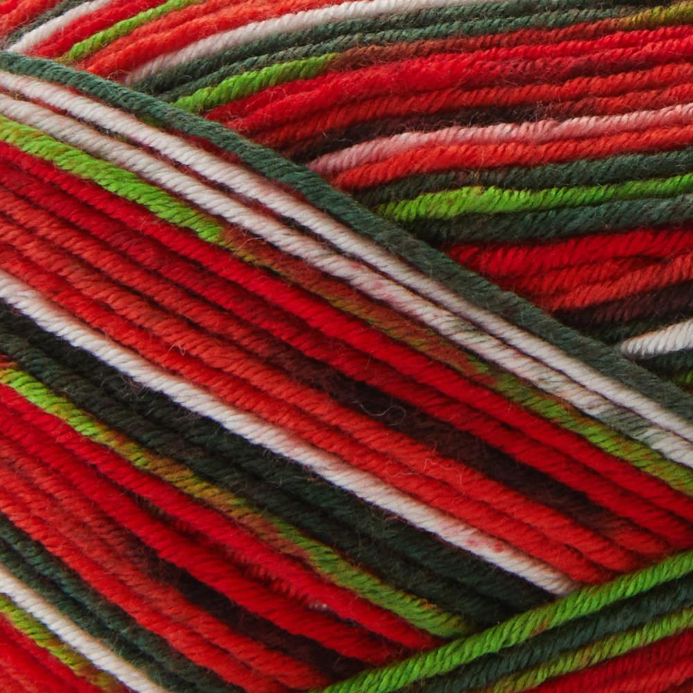 Premier Fruits Sock Yarn