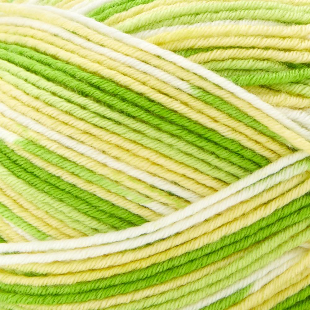 Premier Fruits Sock Yarn