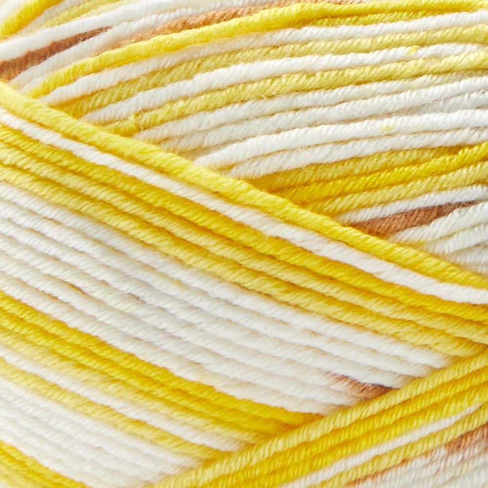 Premier Fruits Sock Yarn