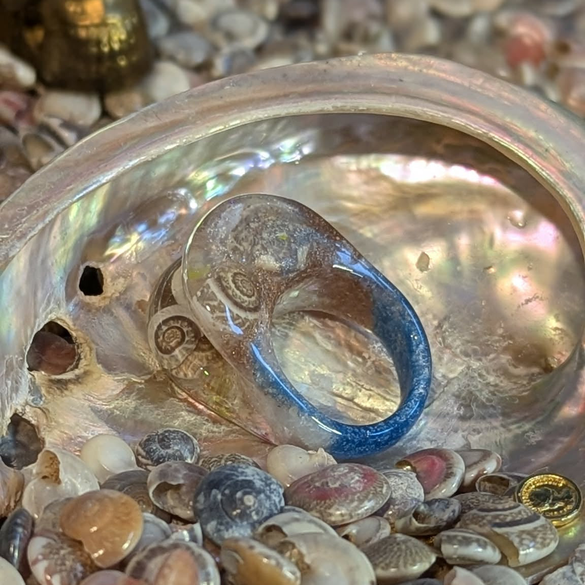 Blue ring inside an open shell with seashells and small gold objects around